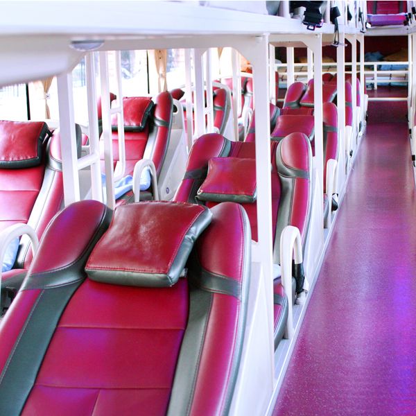 Standard Bus 