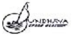 Bundhaya Speedboat logo
