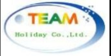 Team Holiday logo