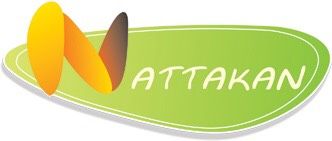 Nattakan Travel logo