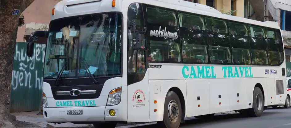 Camel Travel bringing passengers to their travel destination