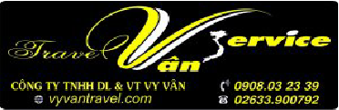 Vy Van logo