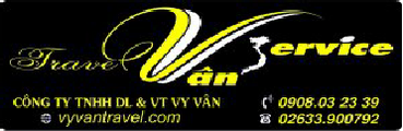 Vy Van logo