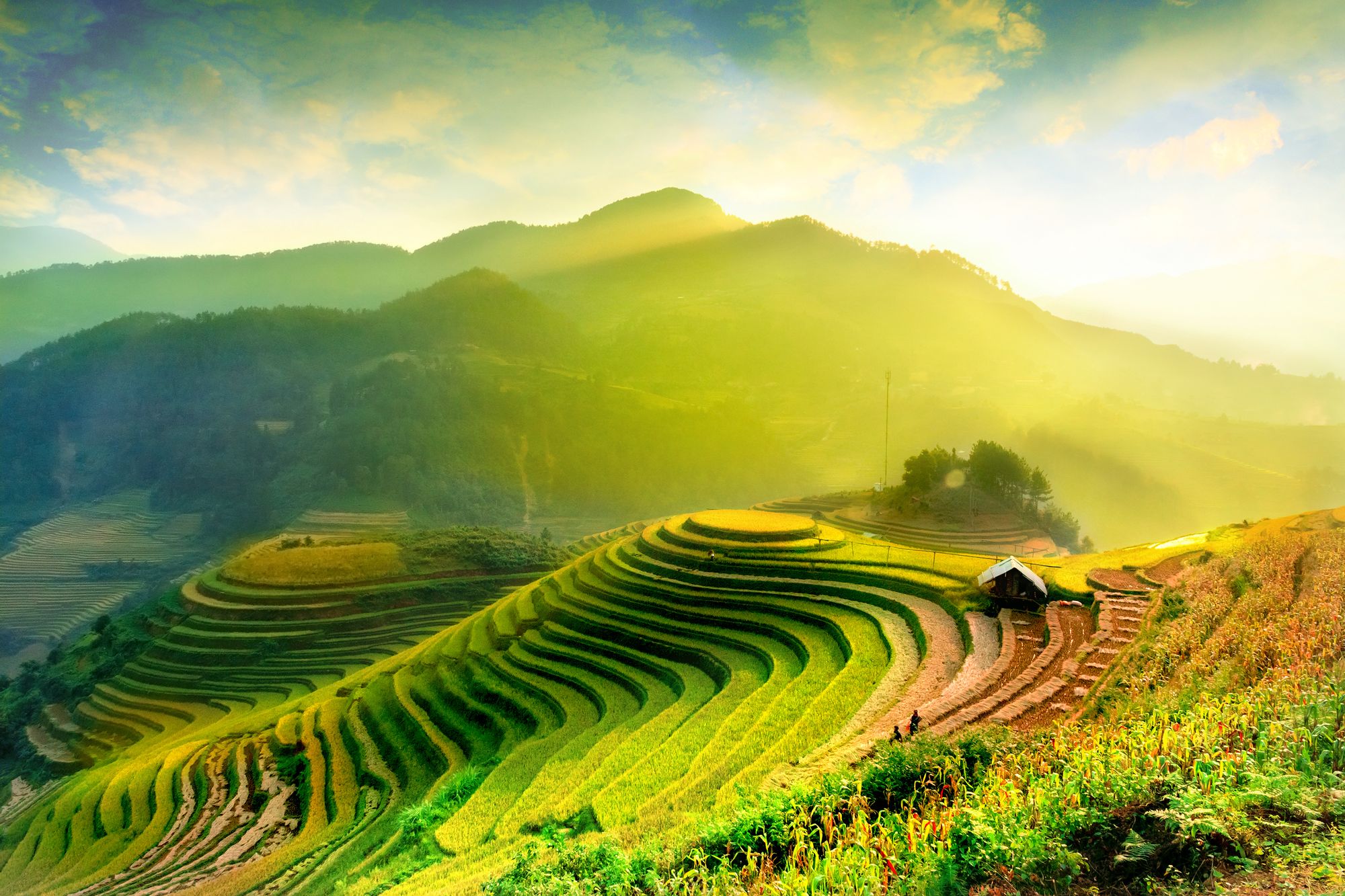 routes_hero-image-alt Mu Cang Chai