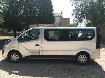 Standard minivan 