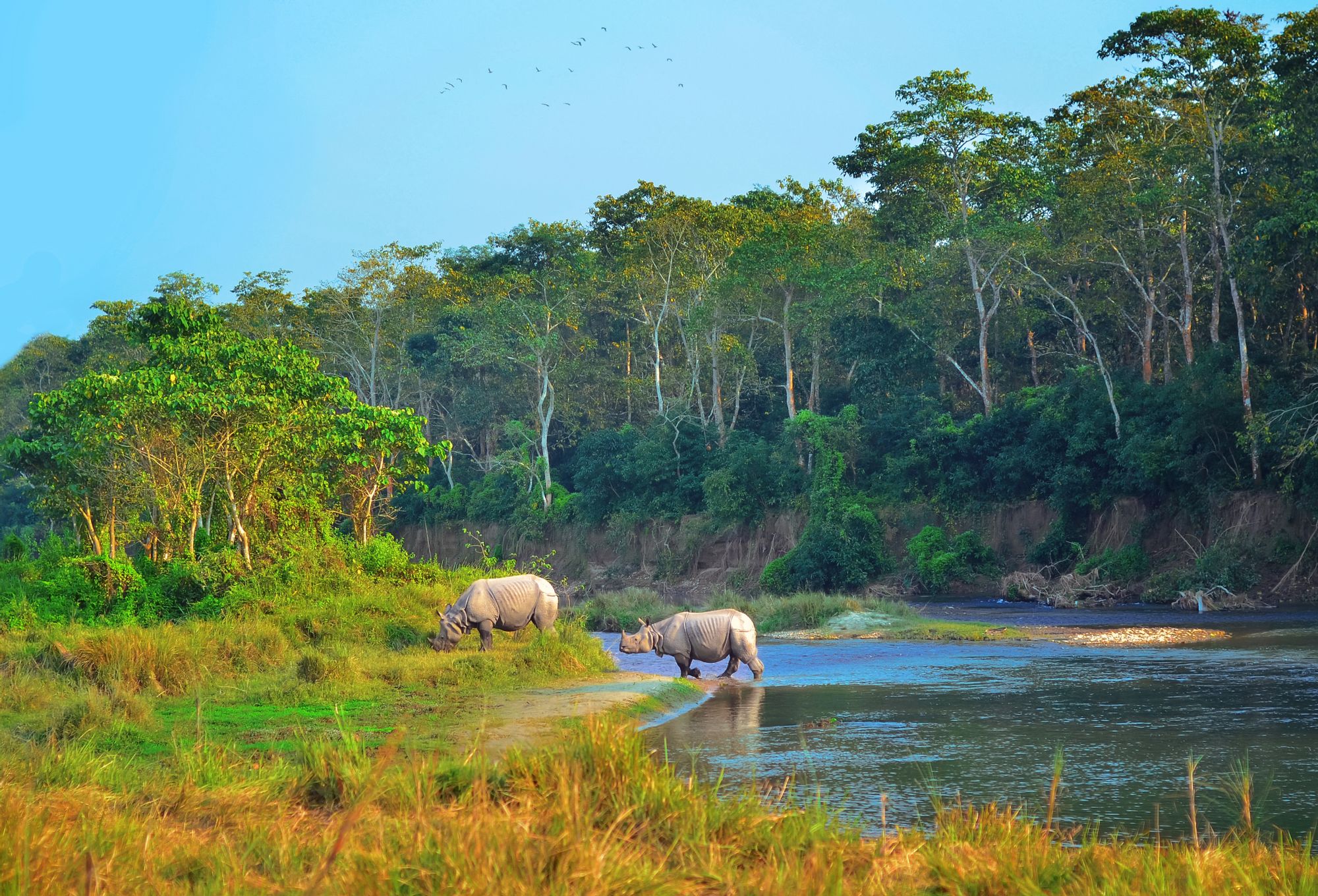 Sauraha Bus station station within Chitwan National Park, Nepal