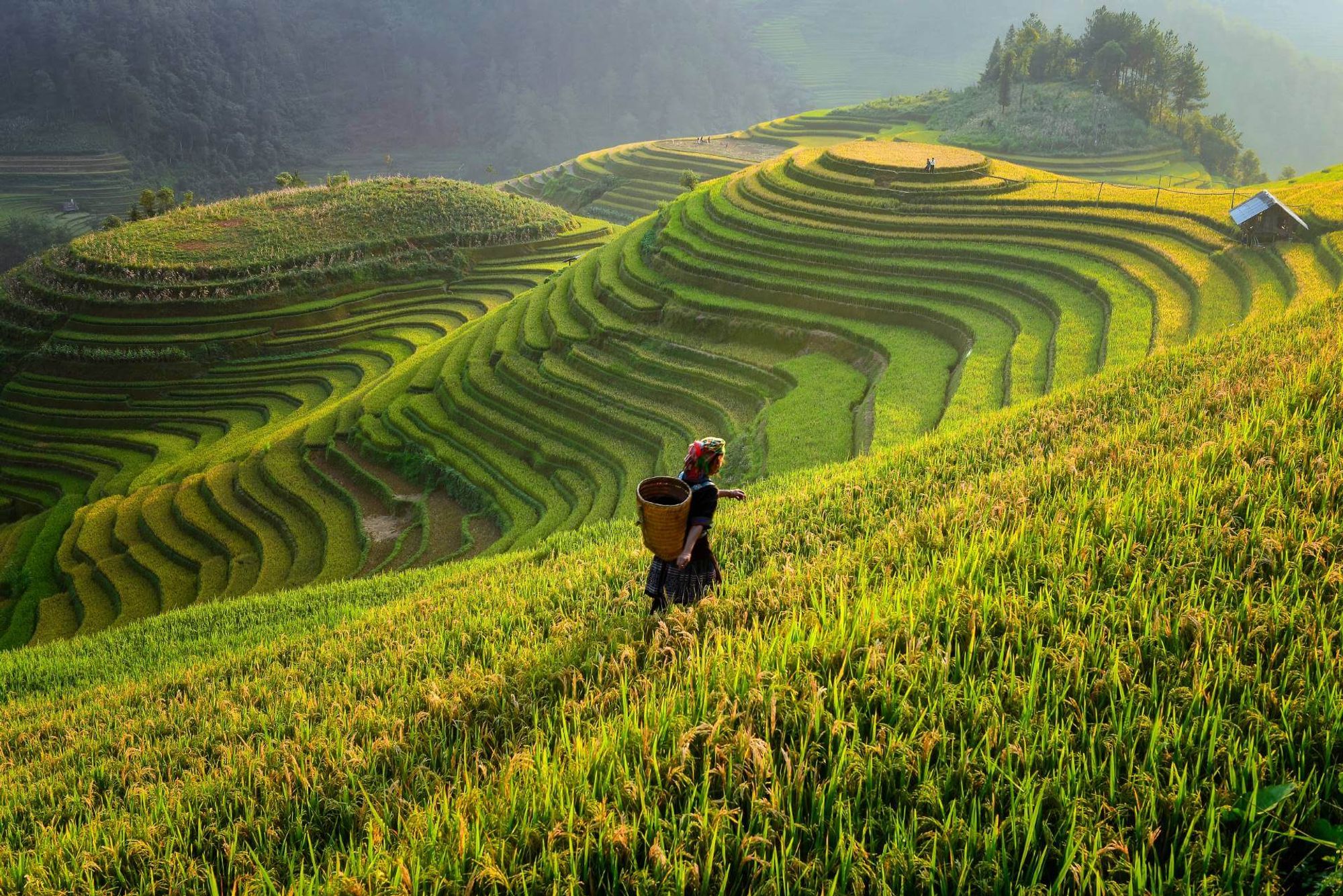 Daiichi Travel - Sapa estação dentro de Sapa, Vietnam