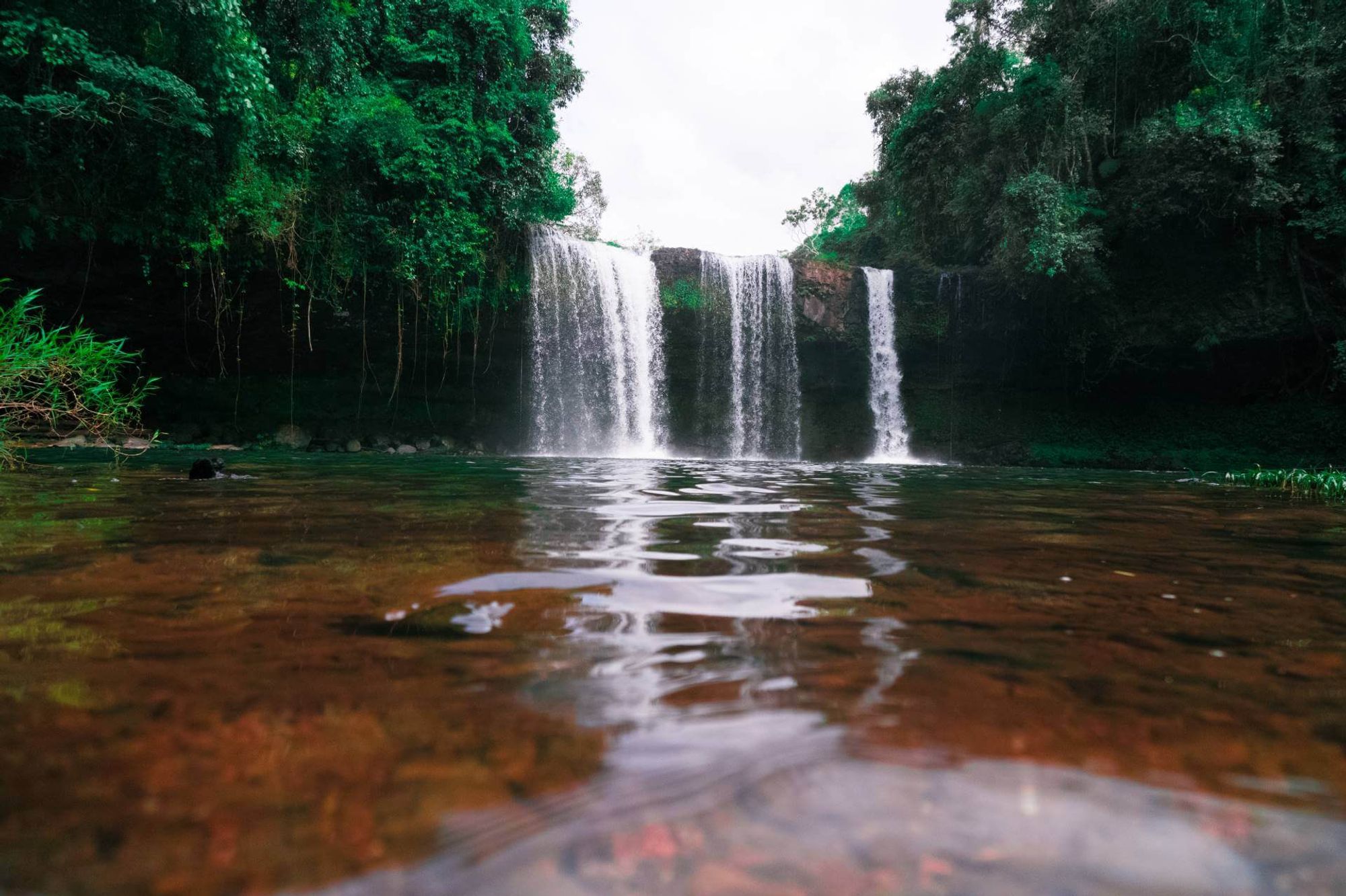 Lao Adventurer Travel 이내의 역 Pakse, Laos