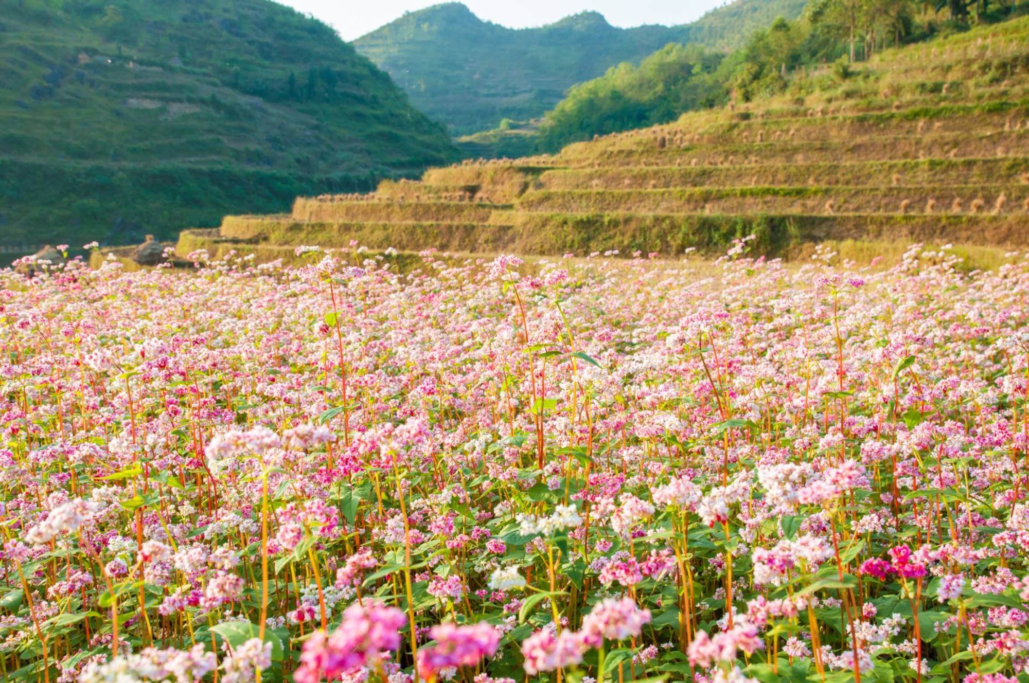 Ha Giang Hostel station au sein de Ha Giang, Vietnam