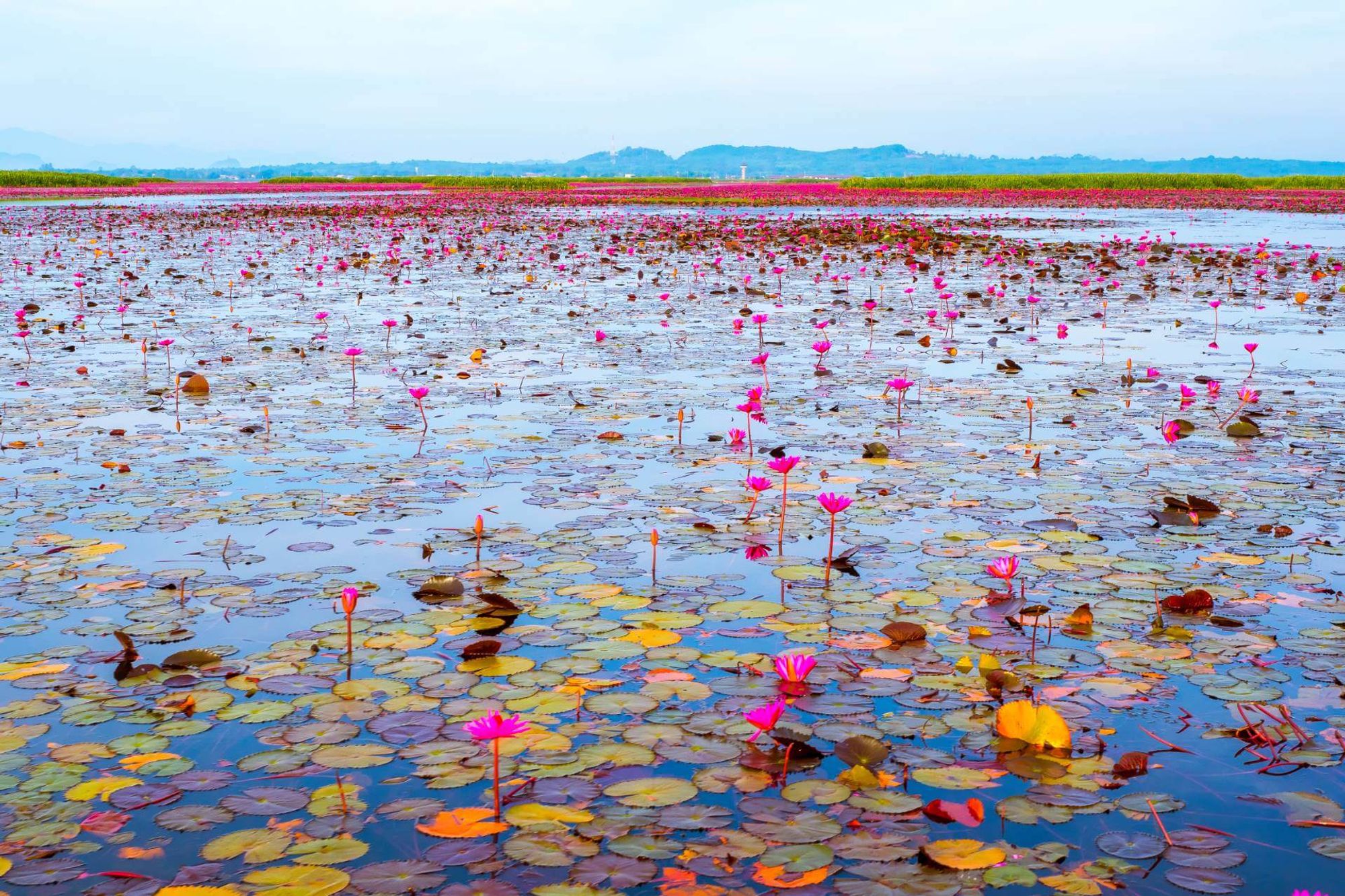 Mae Khari Bahnhof innerhalb des Zentrums Phatthalung, Thailand