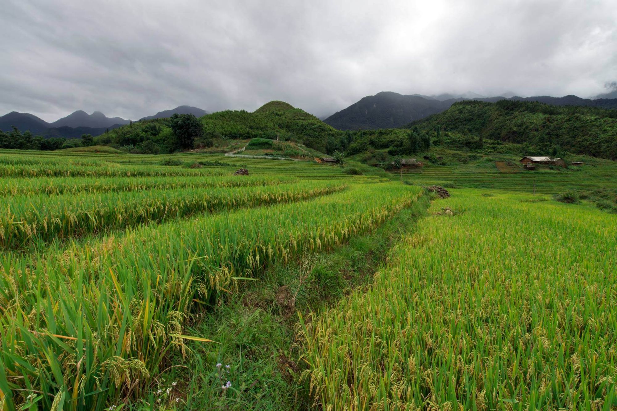 Văn phòng Lào Cai 이내의 역 Lao Cai, Vietnam