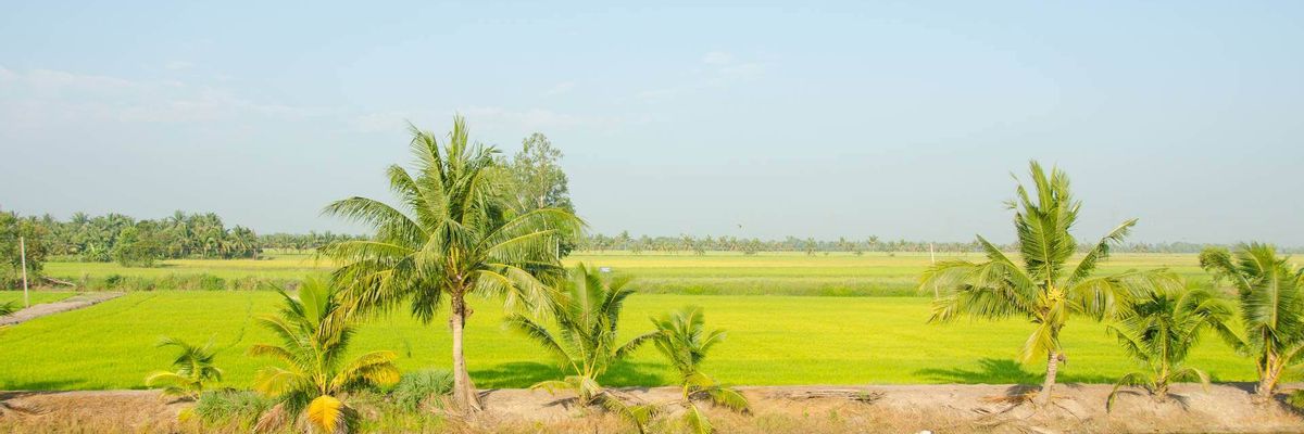 Eine schöne Aussicht vom Zentrum aus Rayong