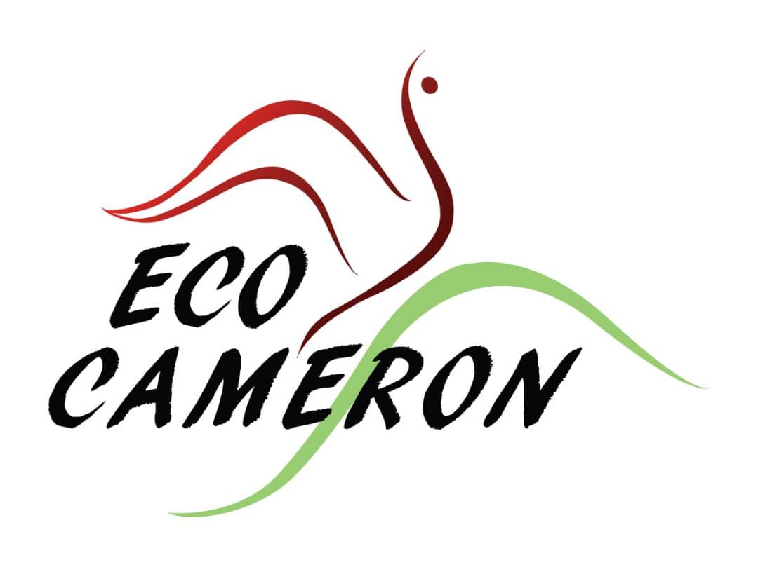 eco cameron travel & tours