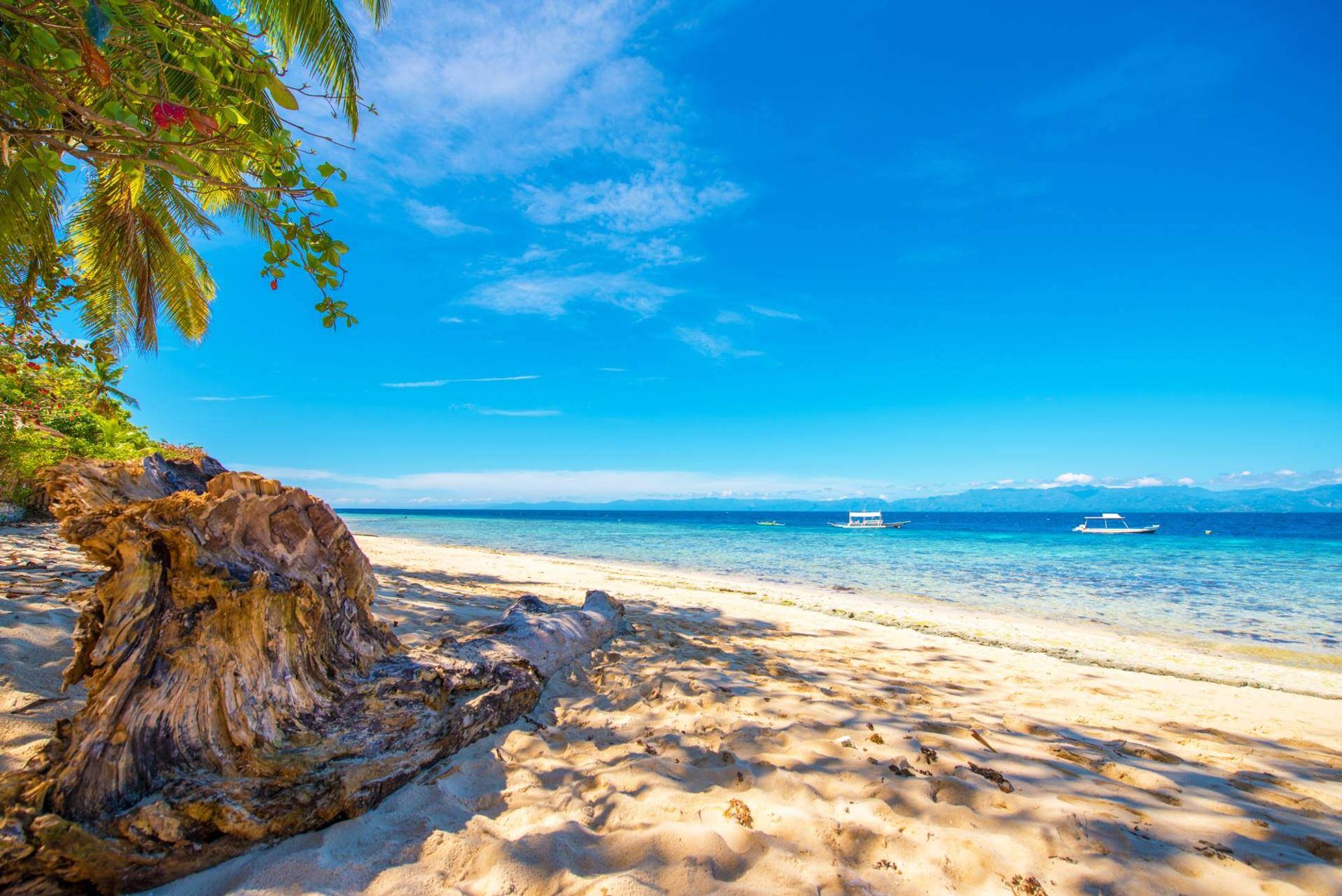 Cruise Terminal สถานีภายใน Moalboal, Cebu, Philippines