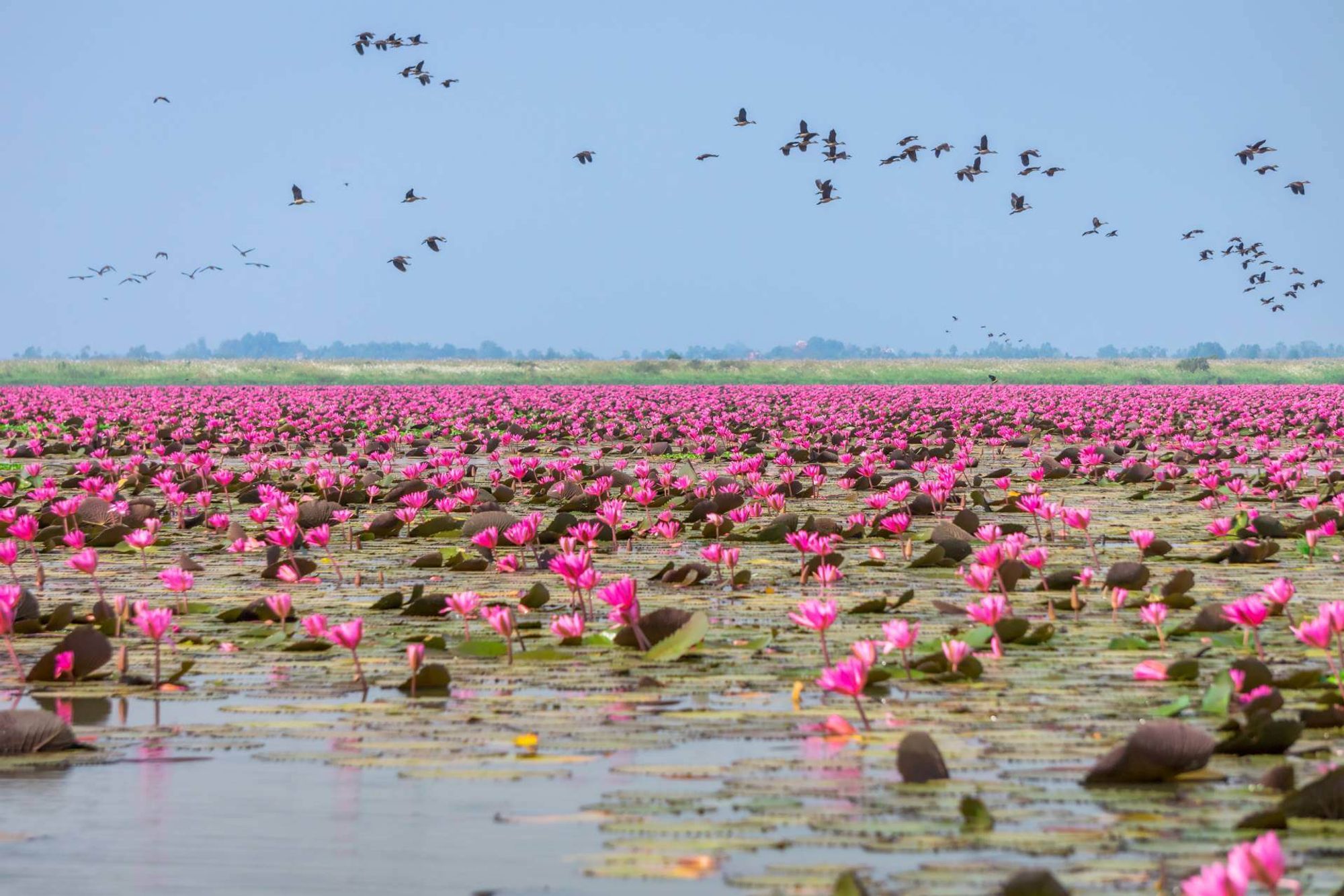 Huai Koeng สถานีภายใน Udon Thani, Thailand