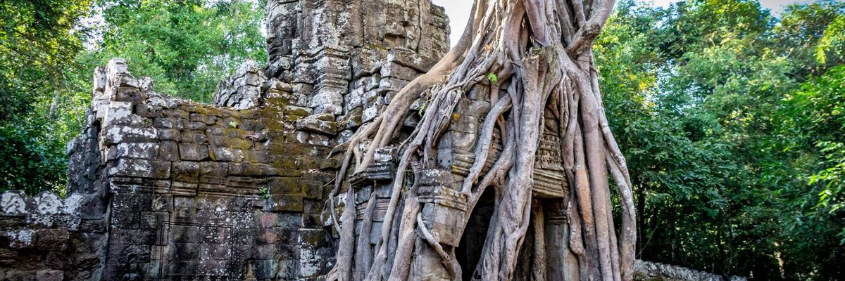 Eine bezaubernde Szenerie vom Zentrum aus Siem Reap