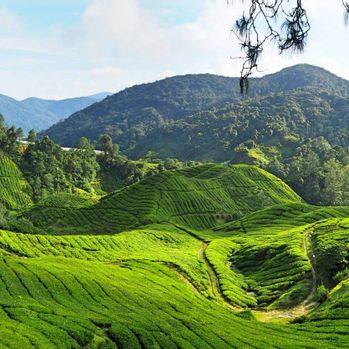 View of Kuala Lumpur to Cameron Highlands