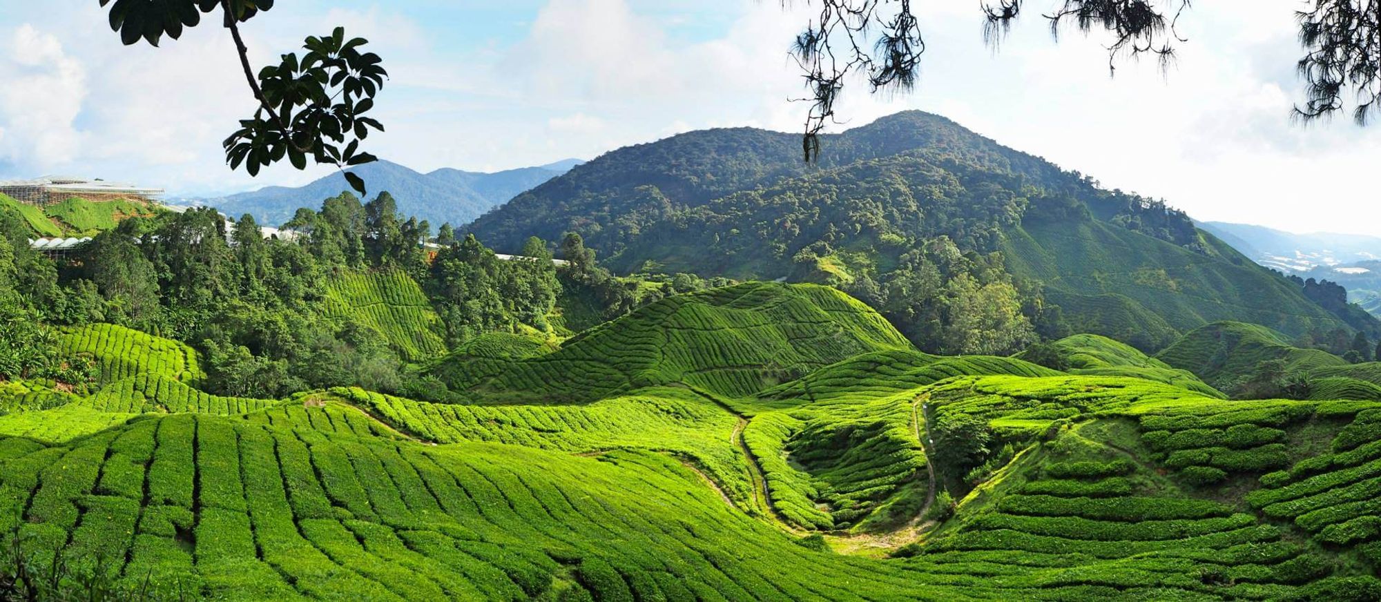 Terminal Bas Tanah Rata estação dentro de Cameron Highlands, Malaysia