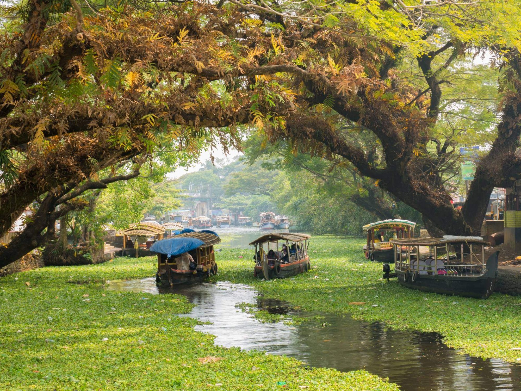 routes_hero-image-alt Alleppey