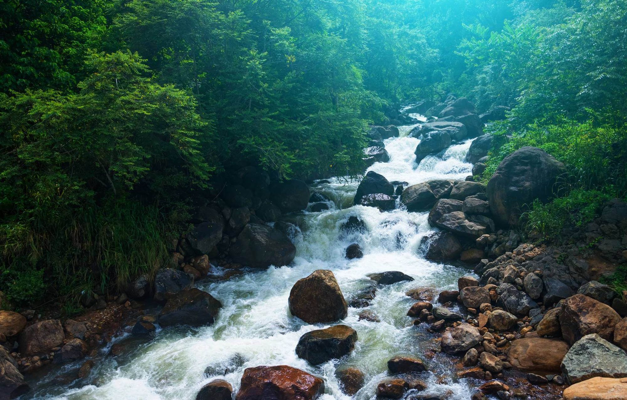 Ella Badulla станция в пределах Badulla, Sri Lanka