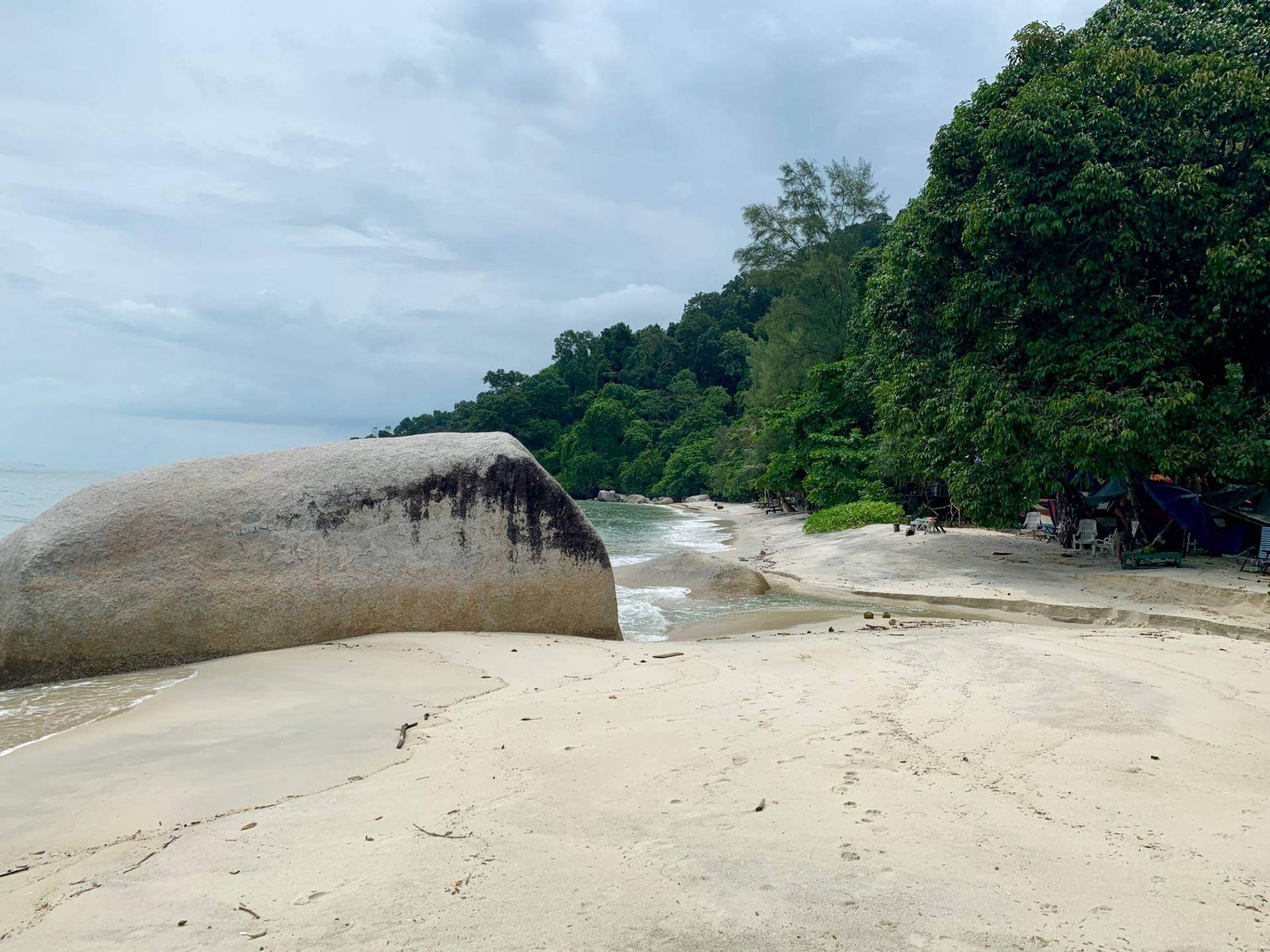 Um pano de fundo cativante do centro de Taman Negara (Kuala Tahan)