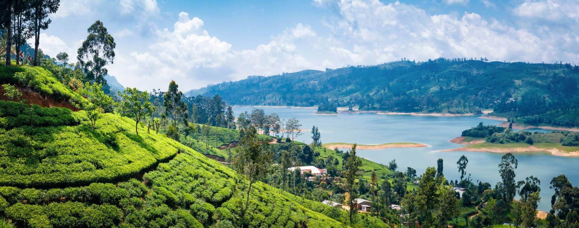 routes_hero-image-alt Nuwara Eliya