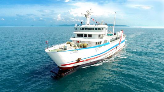 Standard ferry 