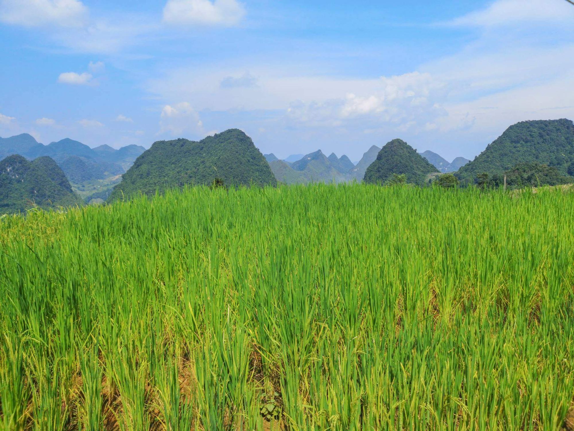 2 Doi Can 이내의 역 Bao Loc, Vietnam