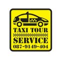 Taxi Tour Service logo