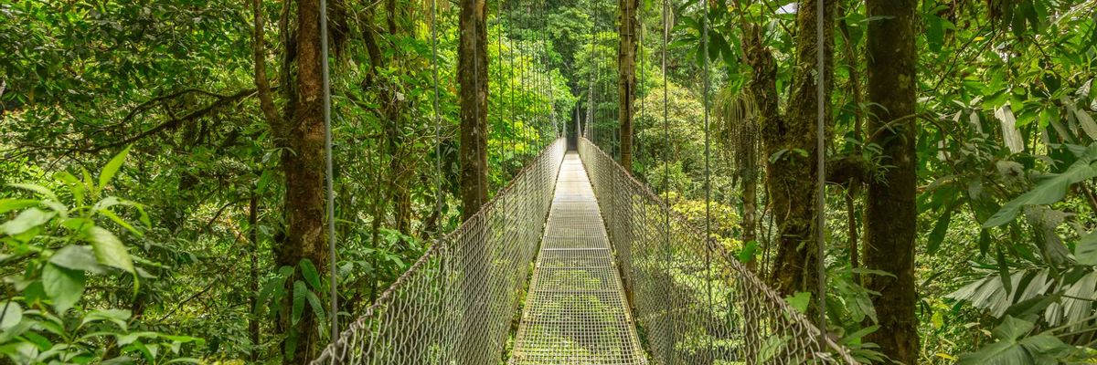 A captivating backdrop of central Monteverde