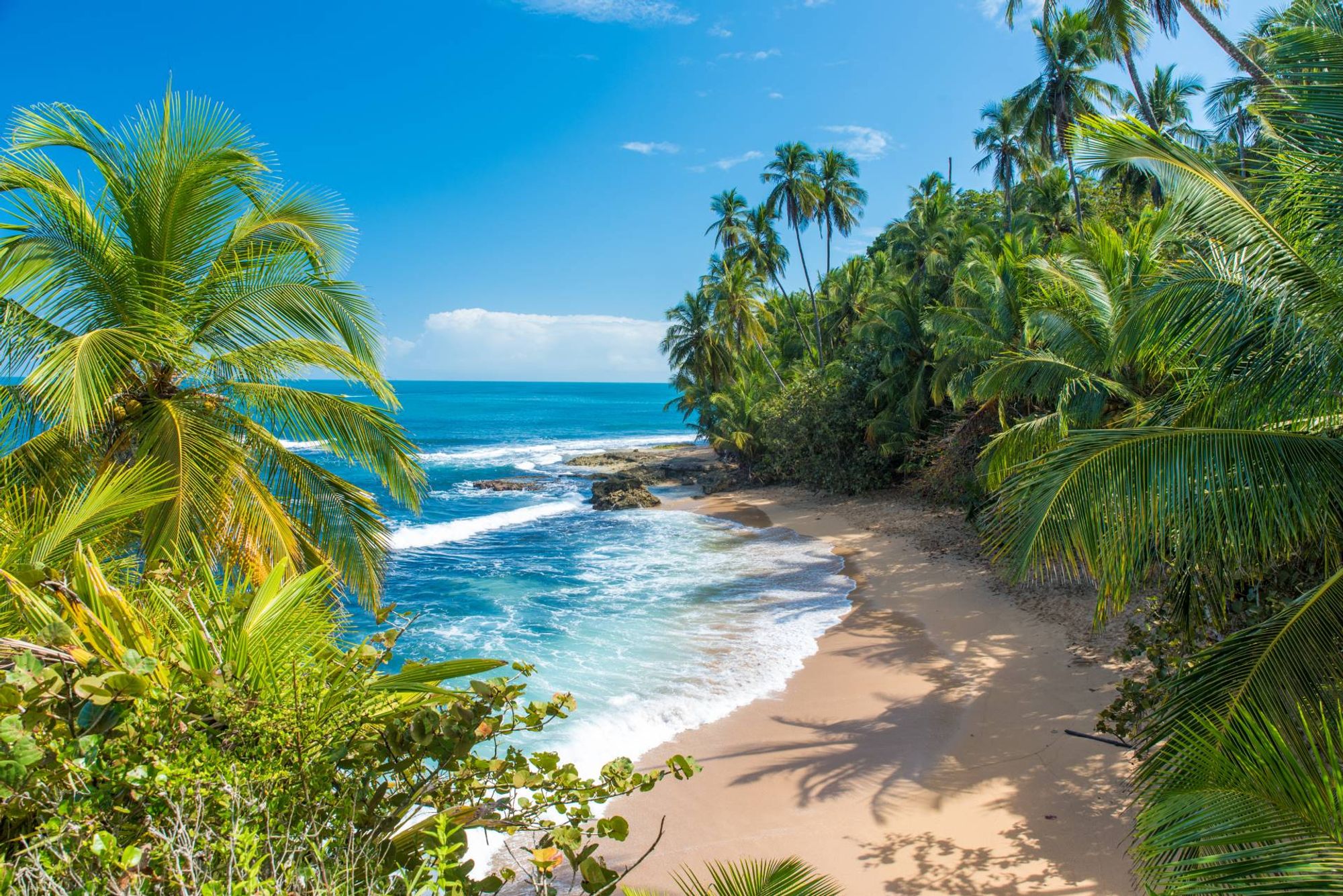 중앙의 매혹적인 배경 Manzanillo, Limon Province