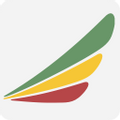 Ethiopian Airlines logo