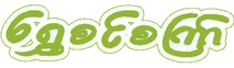 Shwe Sin Setkyar Express logo