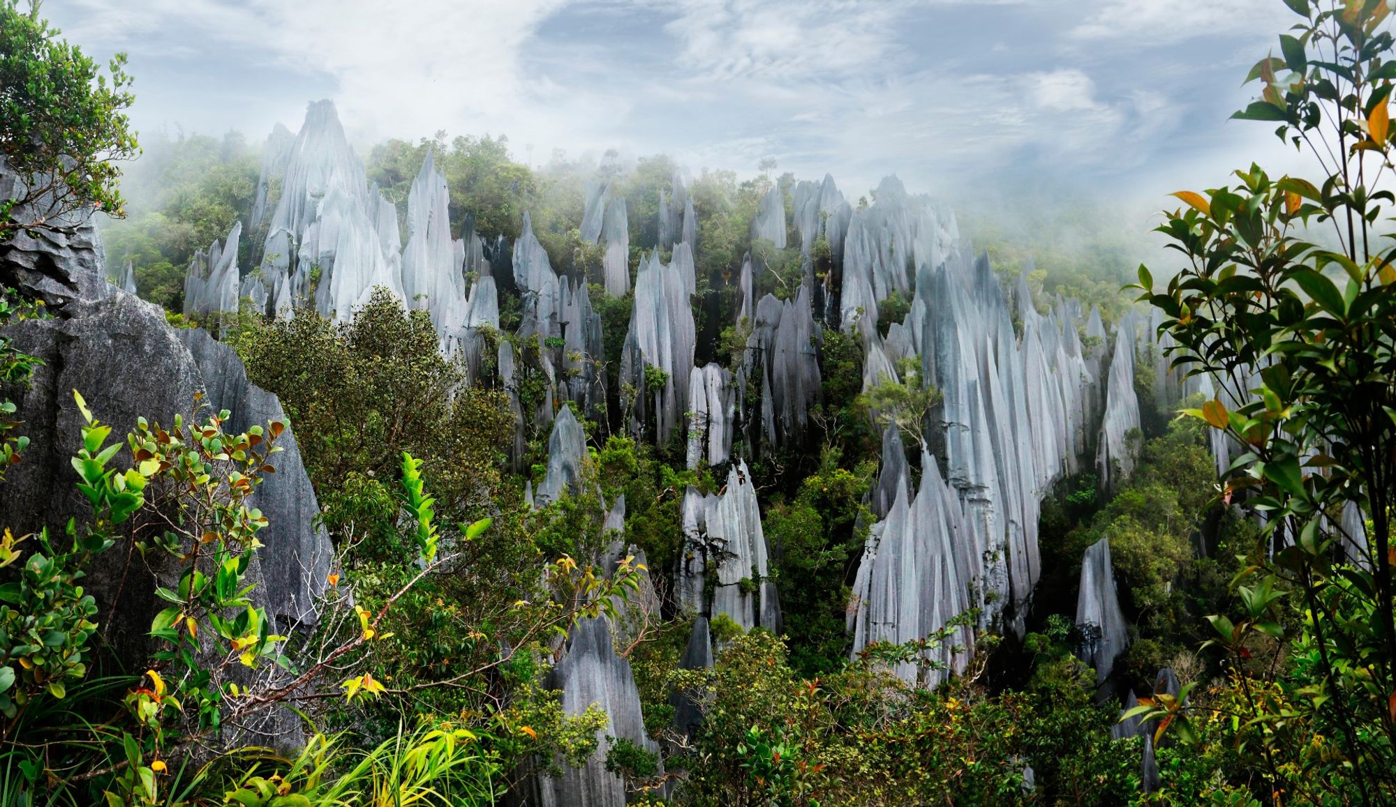 A captivating backdrop of central Gunung Mulu National Park