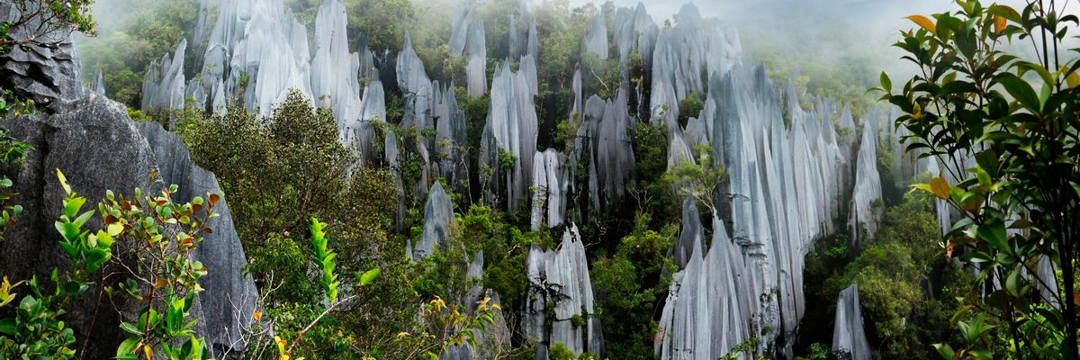 Eine bezaubernde Szenerie vom Zentrum aus Gunung Mulu National Park