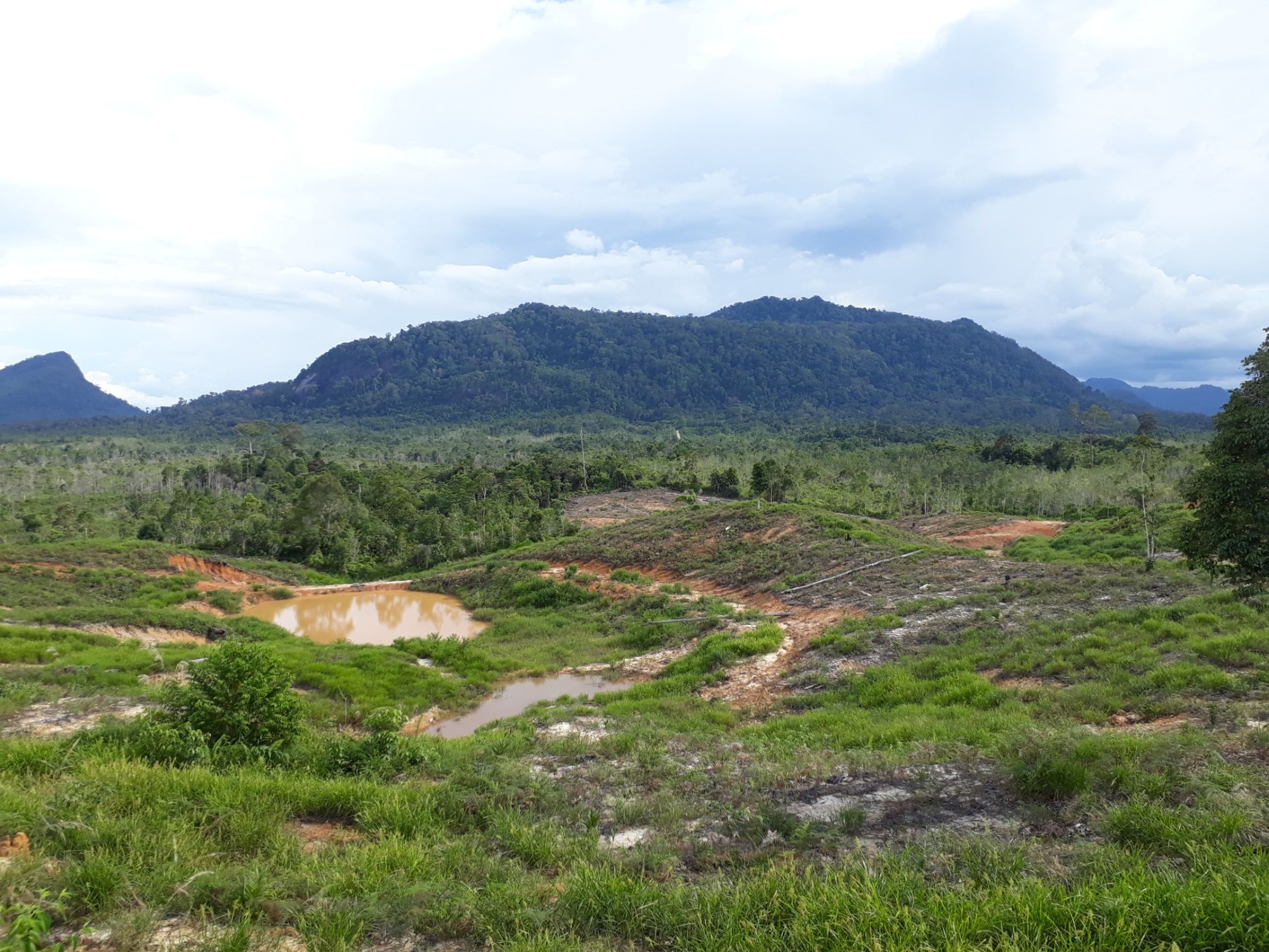 Pangsuma Airport (PSU) 车站位于 Putussibau, Indonesia