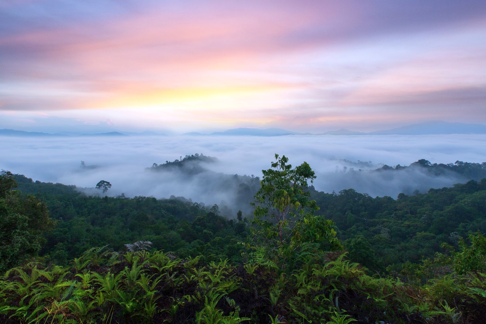 中心部の魅惑的な背景 Narathiwat