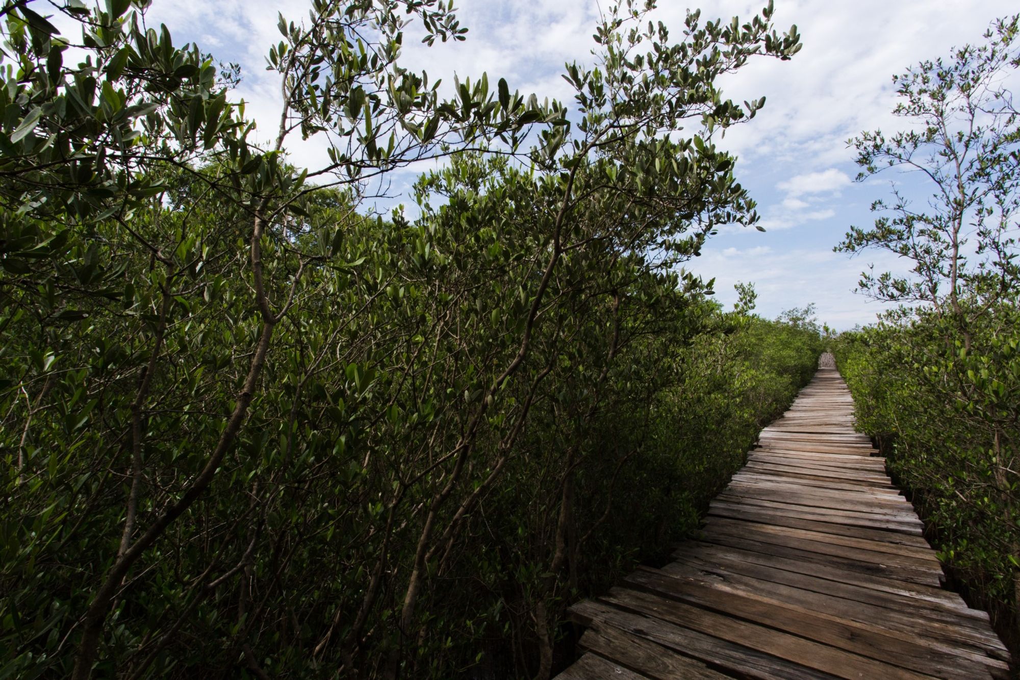 Playa Avellana - Any hotel station within Playa Avellana, Costa Rica