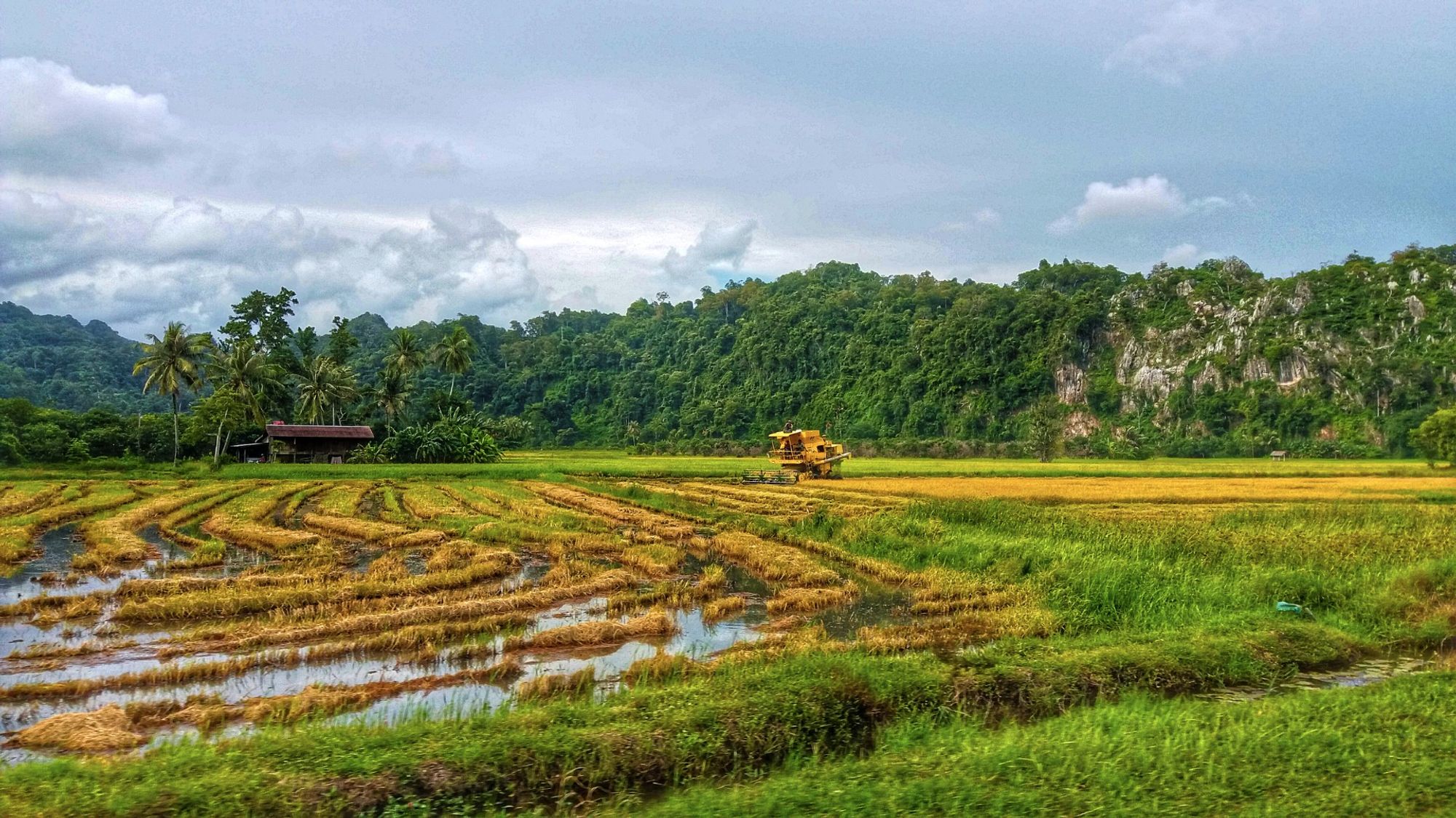 Stesen Bas Ekspres Kangar estación dentro de Kangar, Malaysia