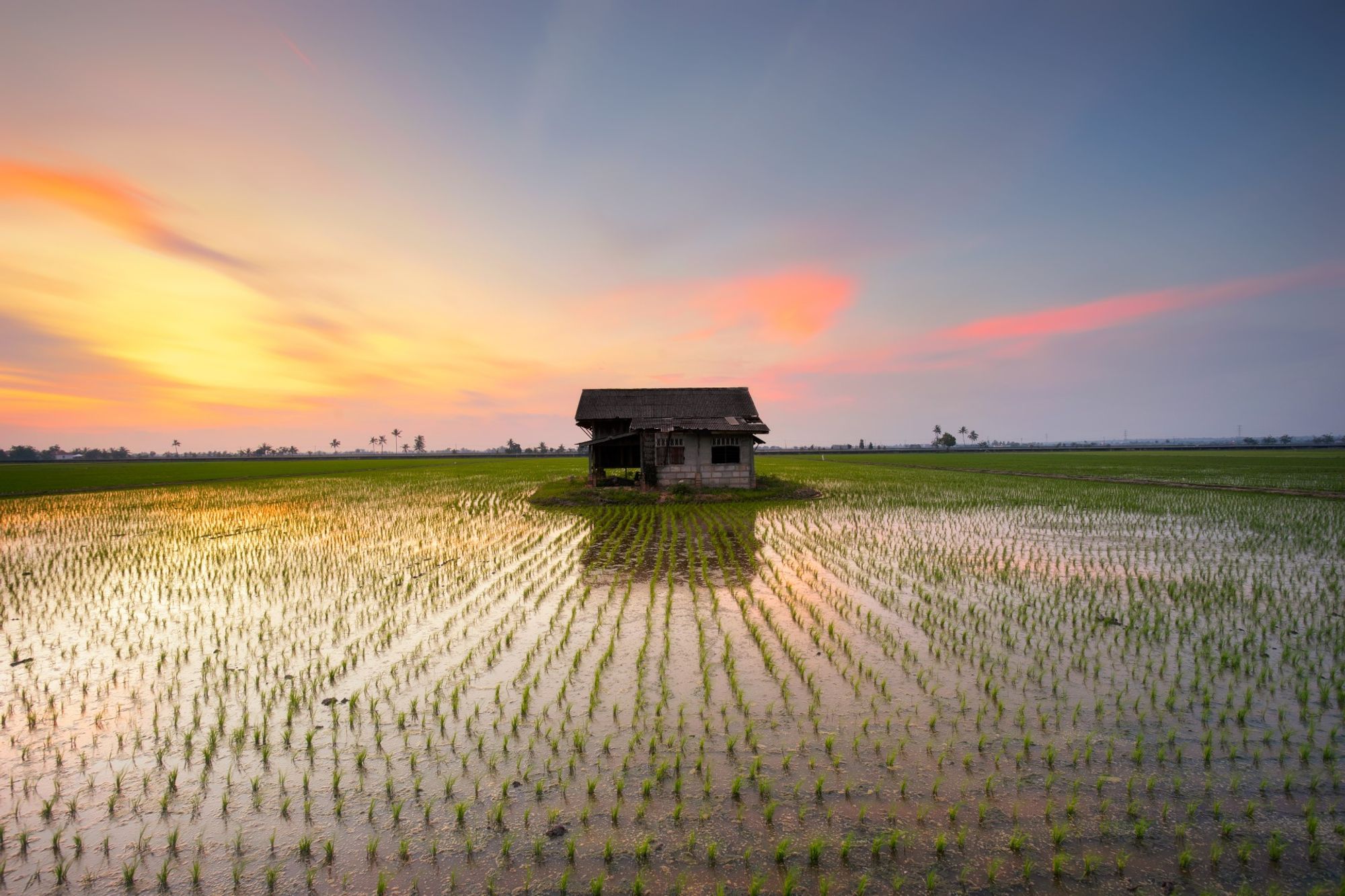 Kajang สถานีภายใน Kuala Selangor, Malaysia