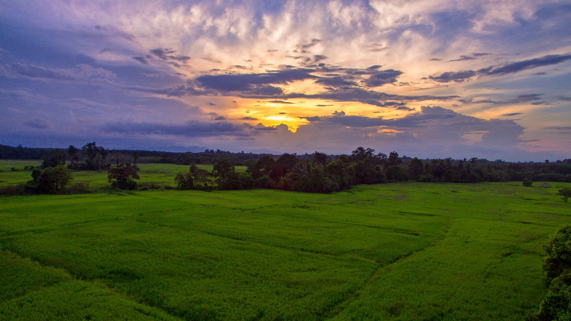 A captivating backdrop of central Machang