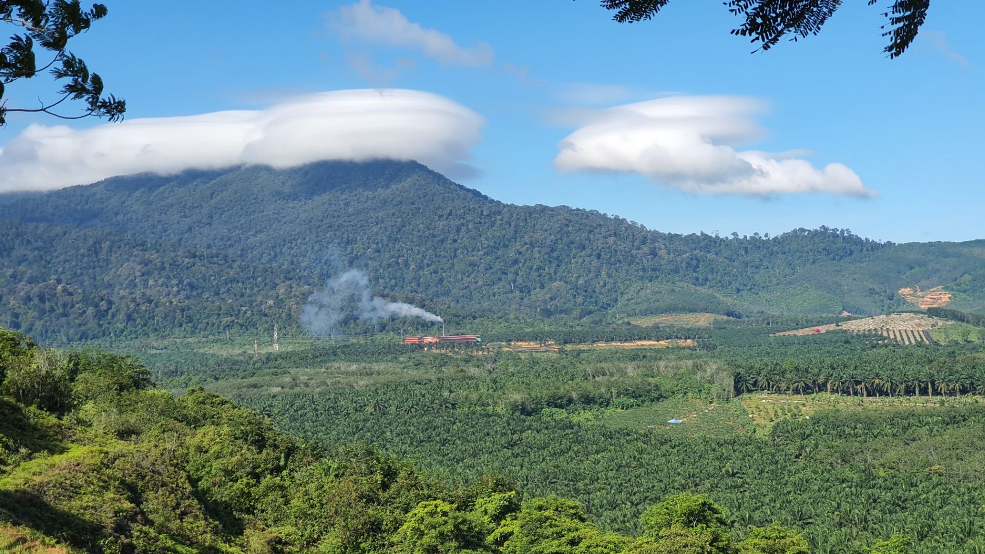 A beautiful view from within central Tangkak