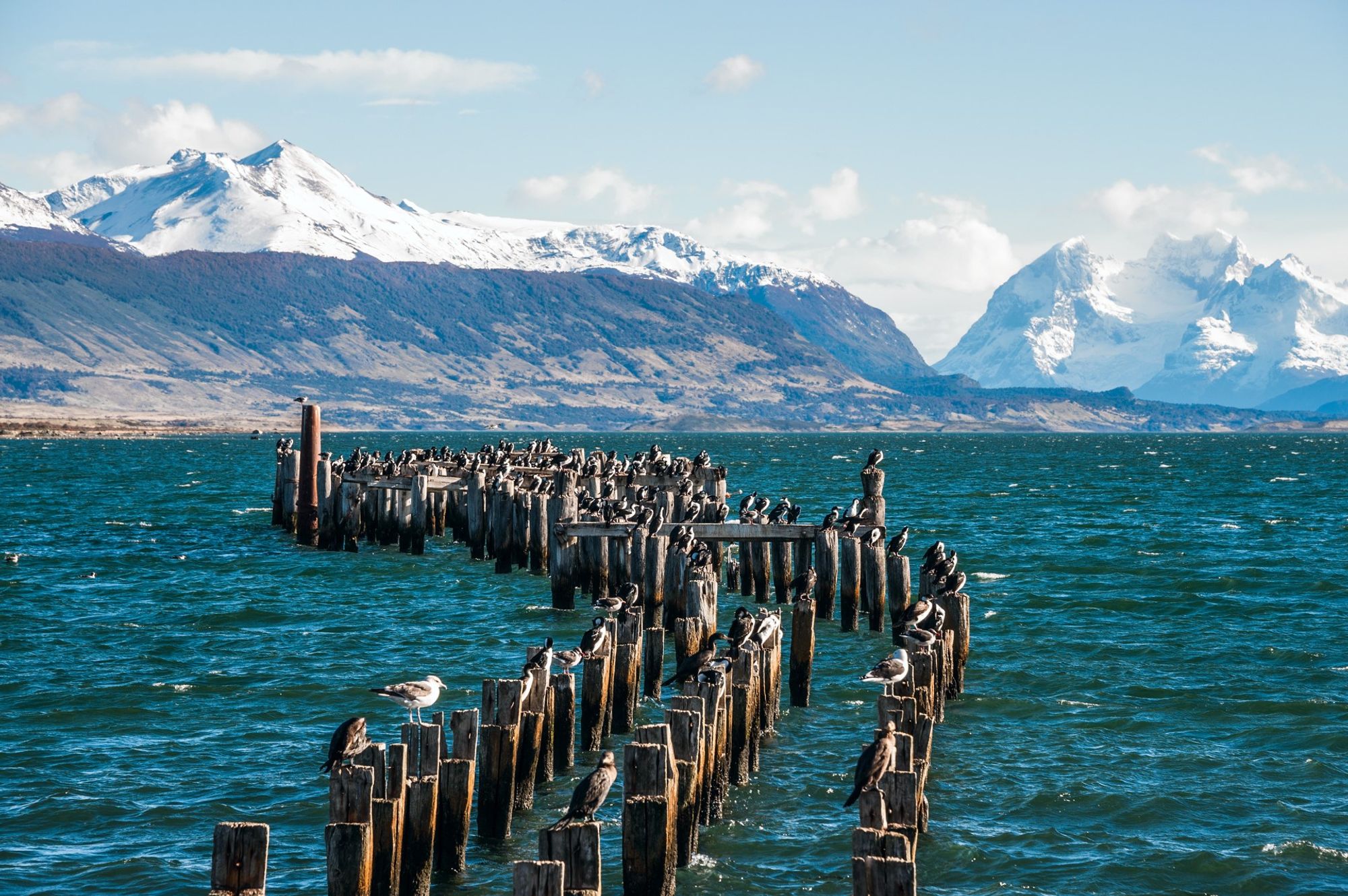 Terminal Rodoviario (Estacion de Autobuses) nhà ga trong khoảng Puerto Natales, Chile