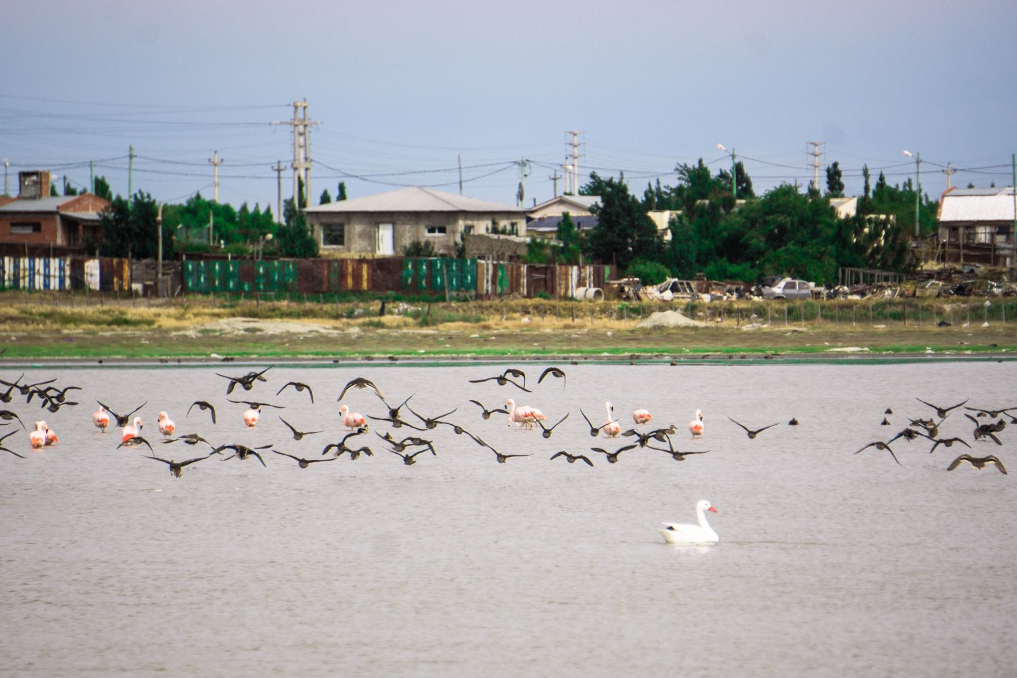 Rio Gallegos Airport (RGL) станция в пределах Rio Gallegos, Argentina