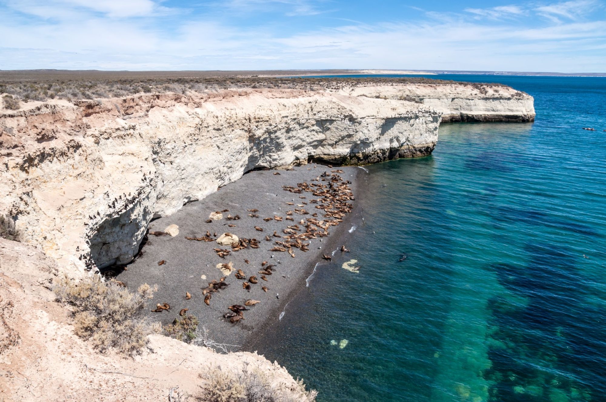 중앙의 매혹적인 배경 Puerto Madryn