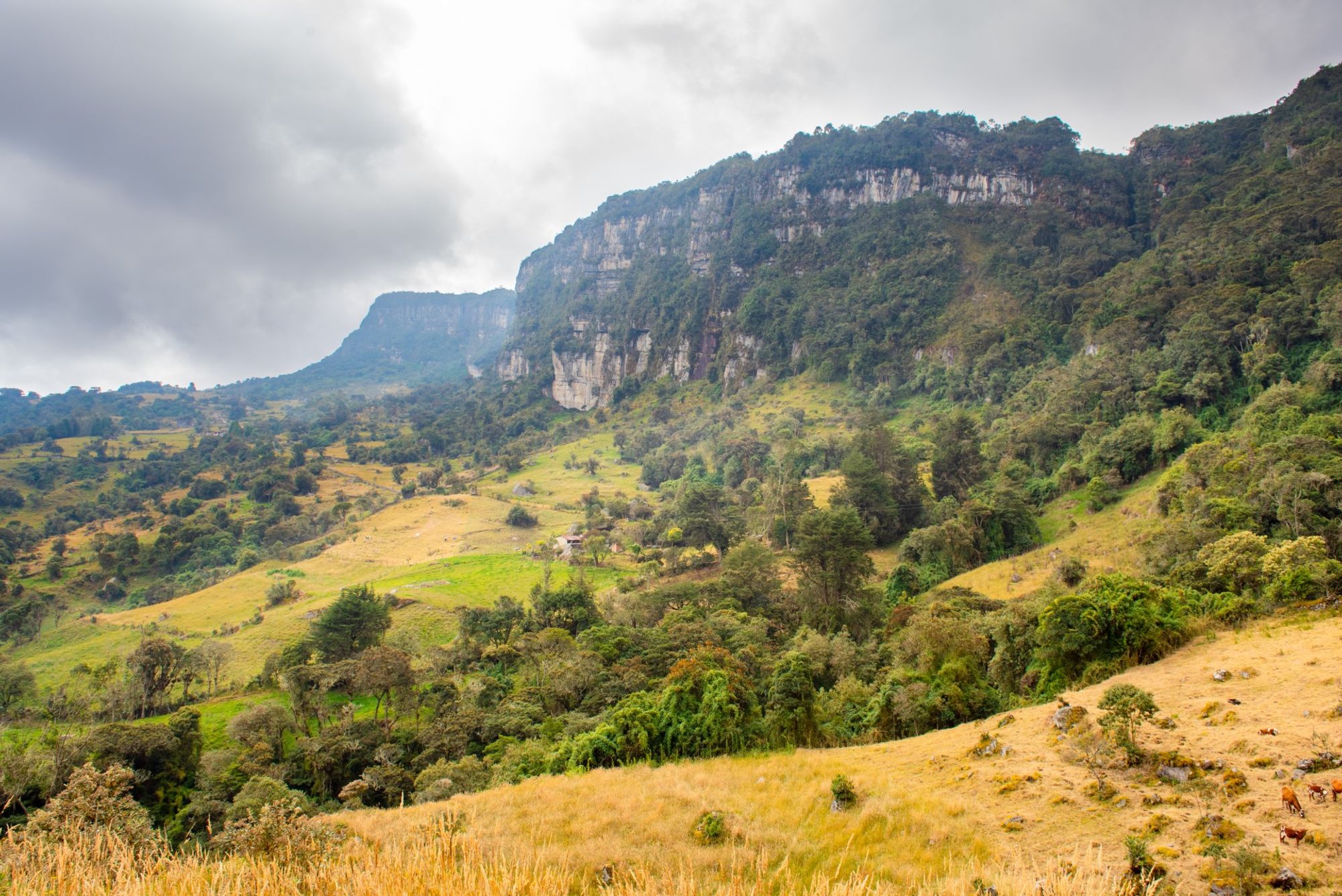 Choachi - Any hotel station binnen Choachi, Colombia