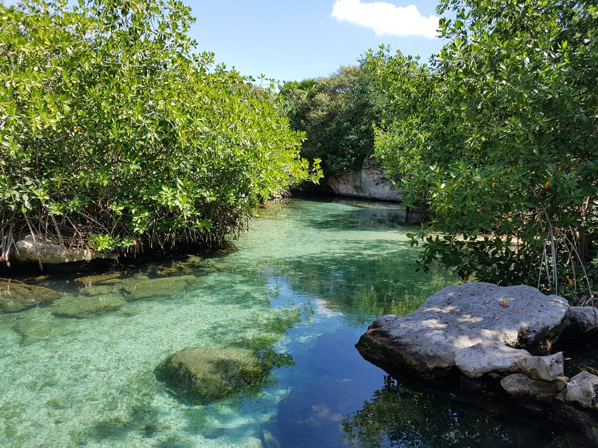 Xcaret - Any hotel สถานีภายใน Xcaret, Mexico