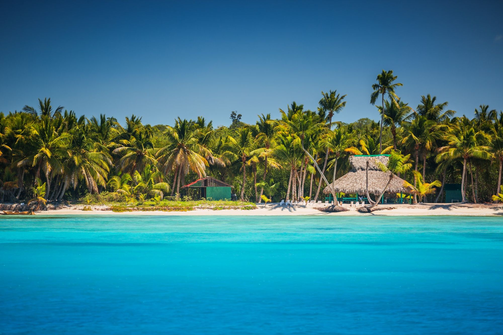 中心部の魅惑的な背景 Punta Cana