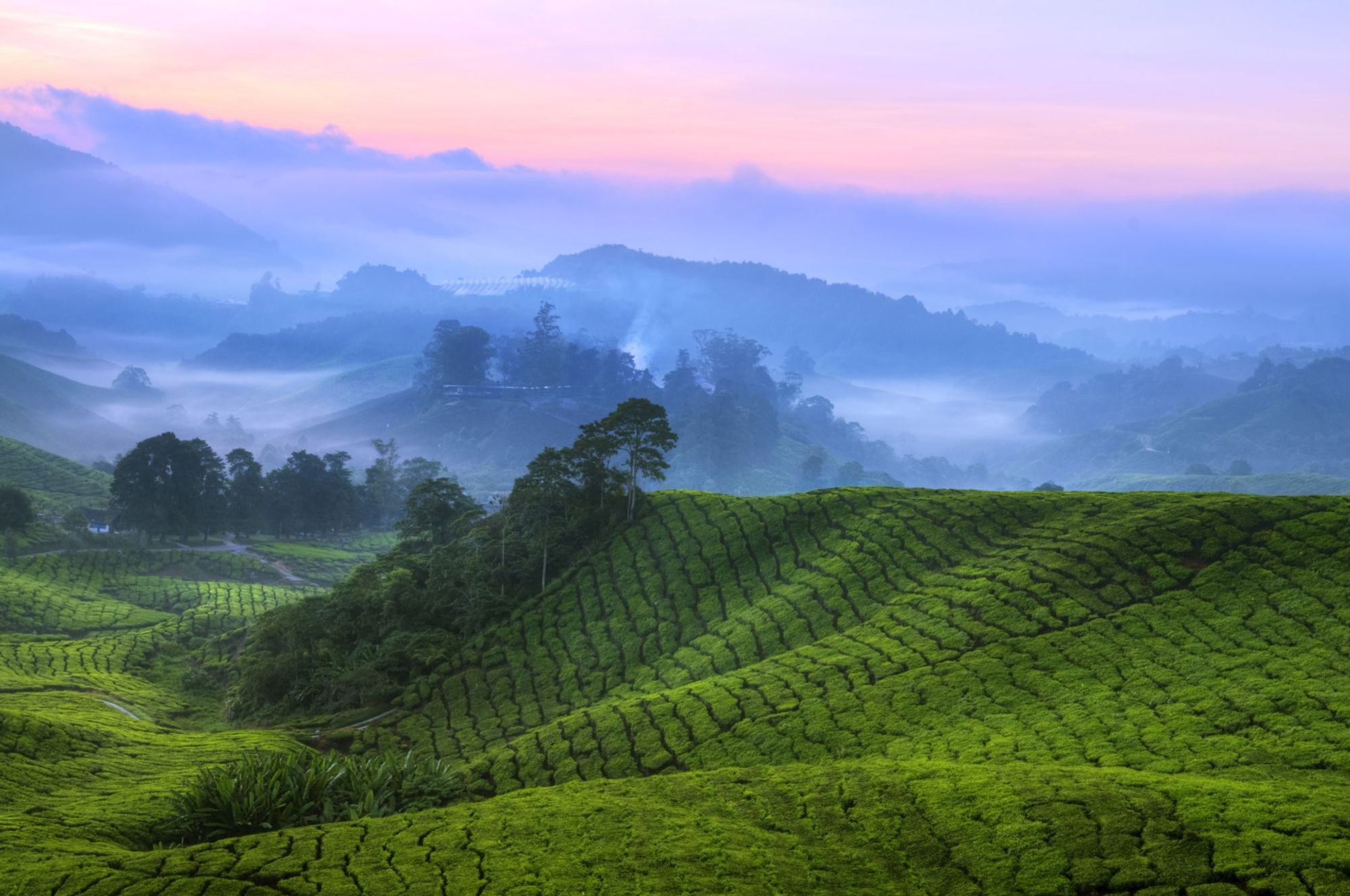 Tanah Rata station au sein de Pahang, Malaysia