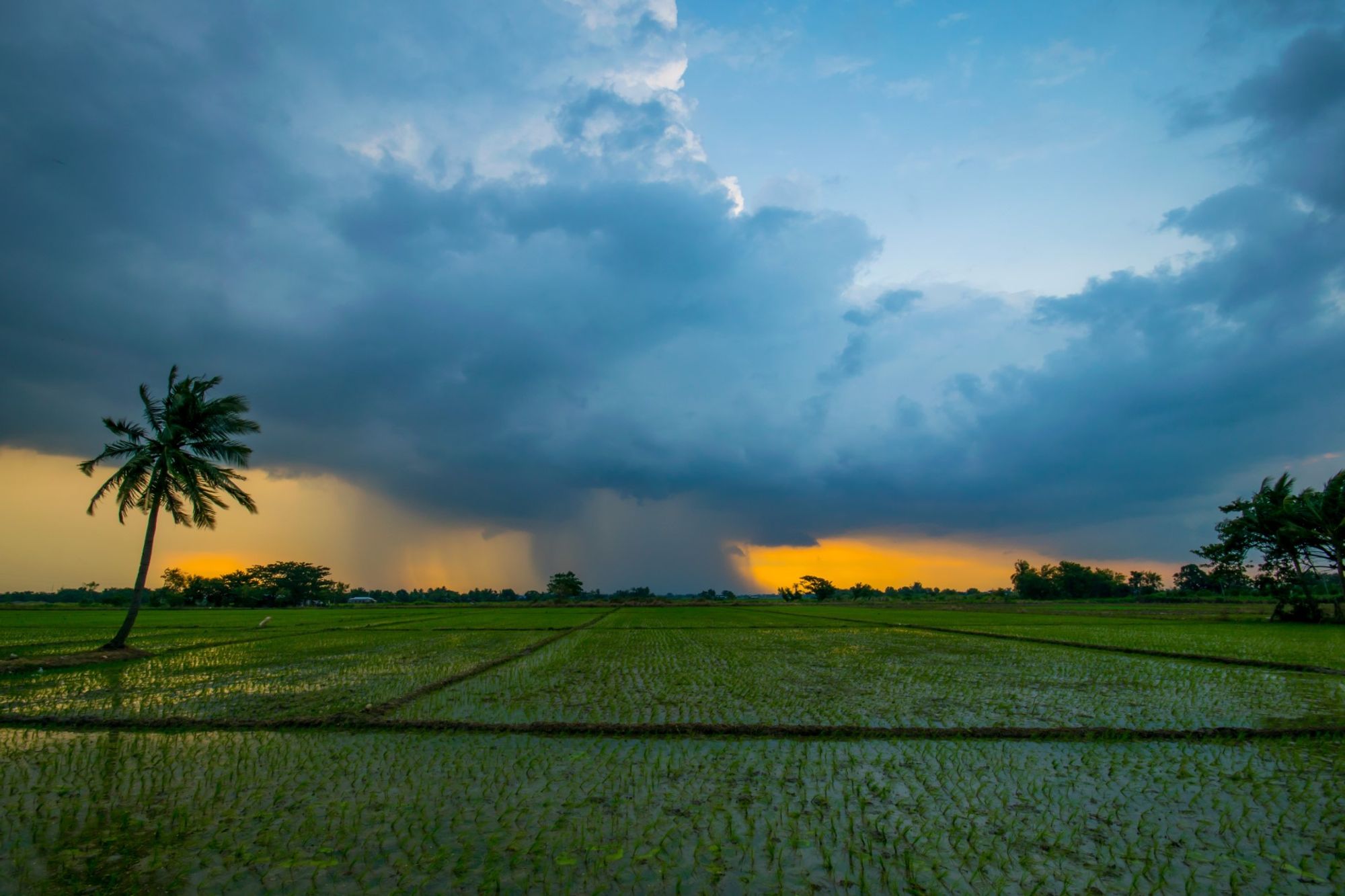 Een innemende achtergrond van centraal Cabanatuan